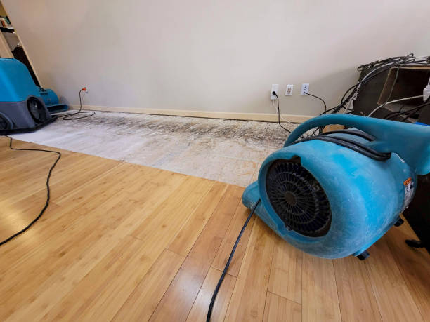 Professional Sewage Cleanup technician working in Woodbine, GA